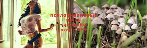 скорость mdpv Кинешма