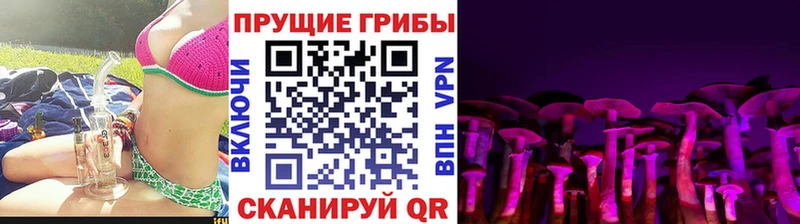 Галлюциногенные грибы Psilocybe  Клинцы 