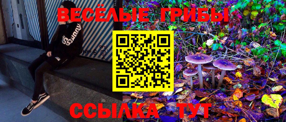 Псилоцибиновые грибы GOLDEN TEACHER  Галлюциногенные грибы Cubensis  Вход с VPN  как найти   Клинцы 